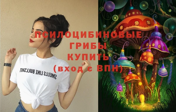 бошки Алексин