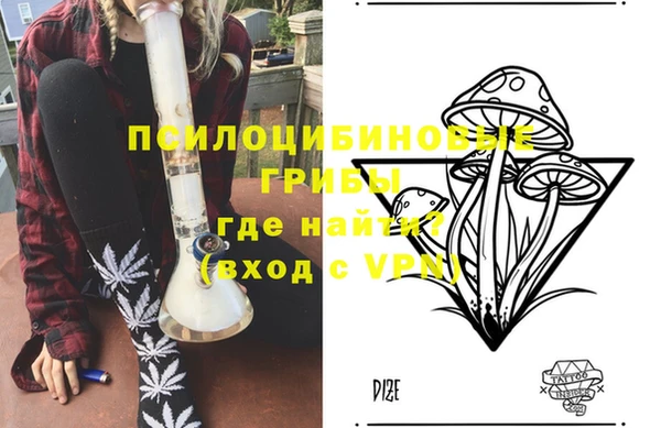 бошки Алексин