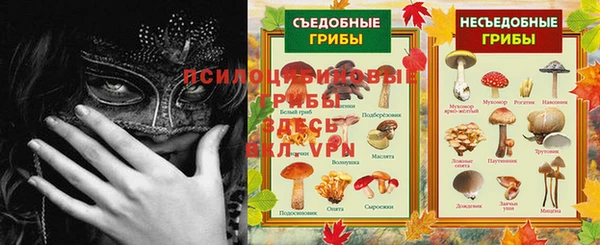 бошки Алексин