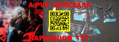 стаф Брянск