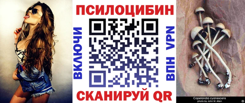 Галлюциногенные грибы Magic Shrooms  купить наркотик  Карабулак 