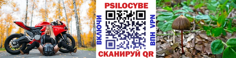 Псилоцибиновые грибы MAGIC MUSHROOMS Карабулак