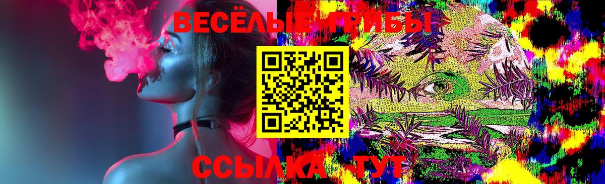 Карабулак  Галлюциногенные грибы прущие грибы  Вход с VPN 